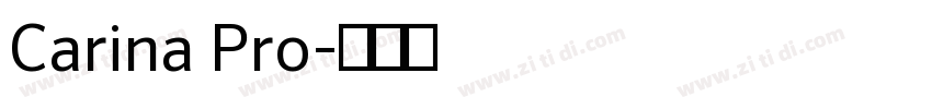 Carina Pro字体转换